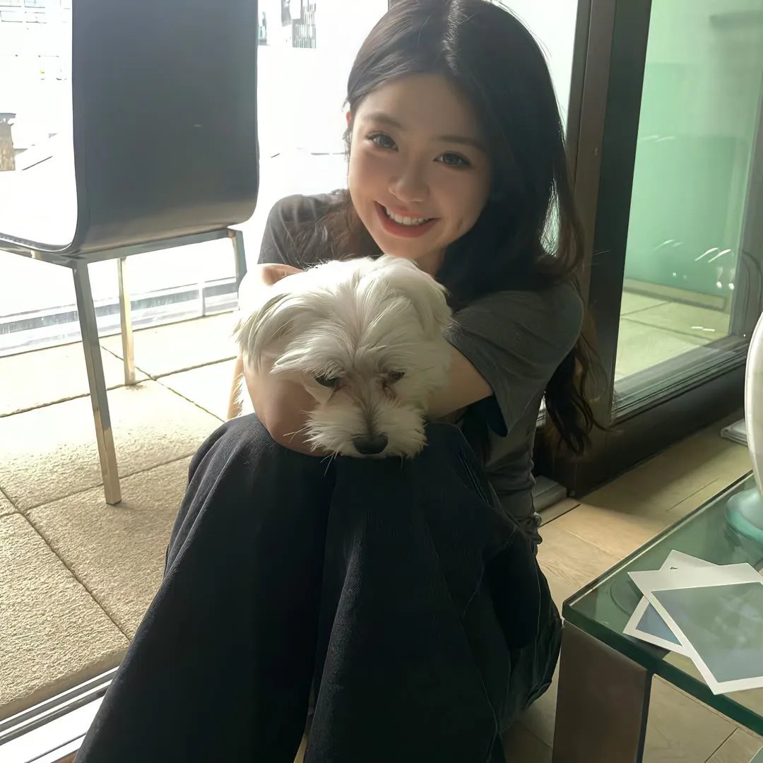 浣熊：新欧洲人
