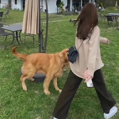 从零到一的爱情